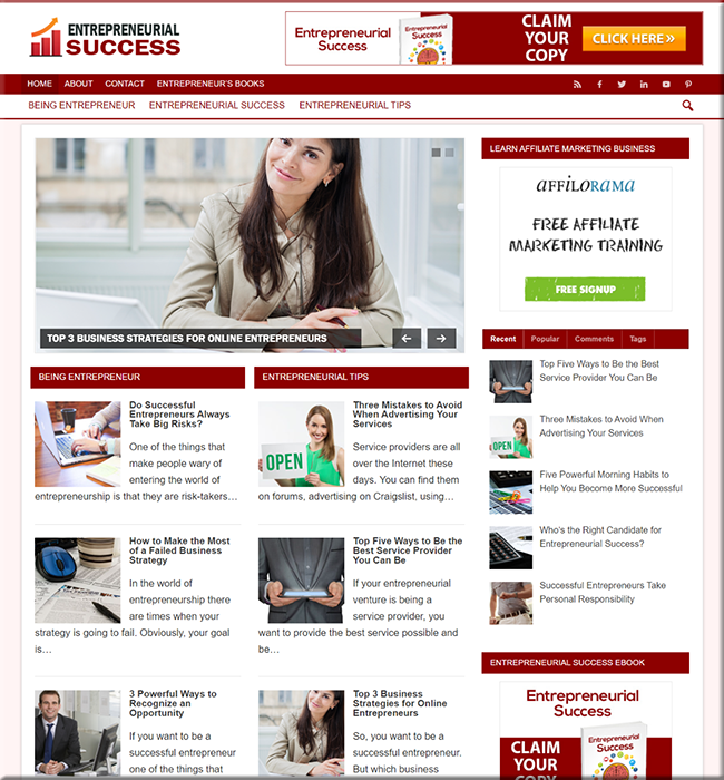 entrepreneurial success niche blog