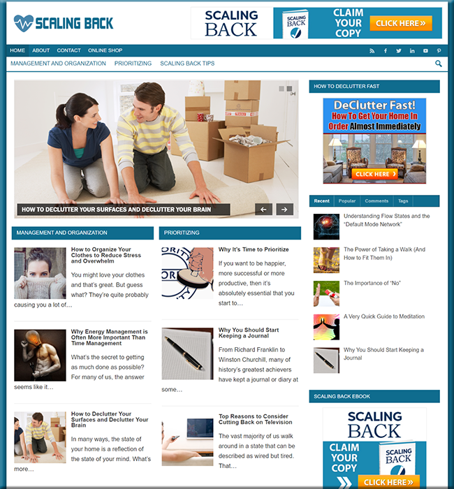 scaling back niche plr website