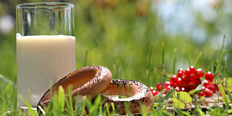 clean eating ljvf template