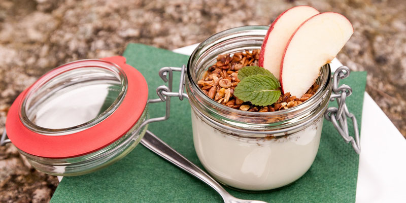 primal living mzvq niche blog