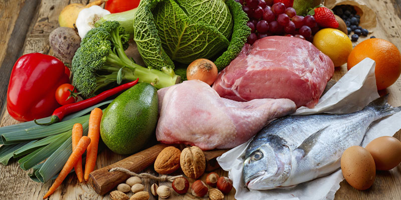 primal living xgqd template