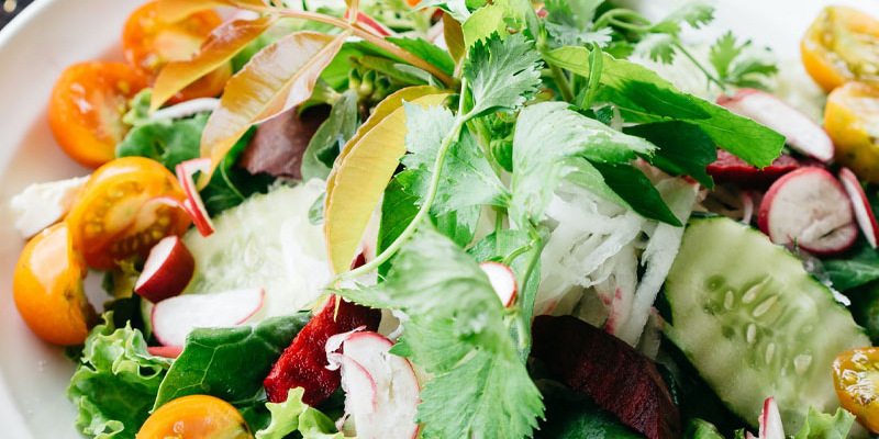 keto diet kcjm niche blog