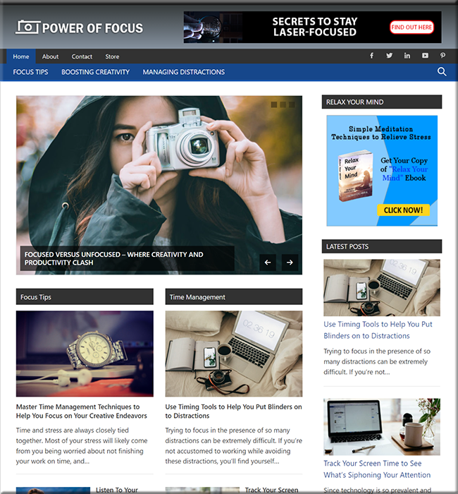 power focus plr niche website